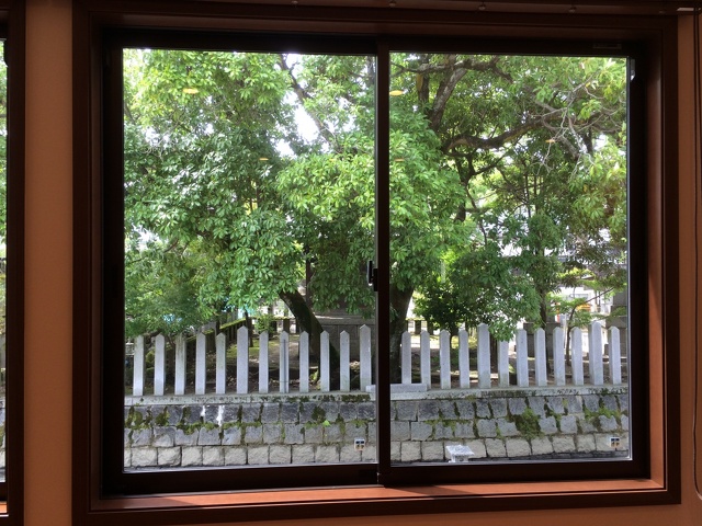 待合室の窓から神社の森が見える